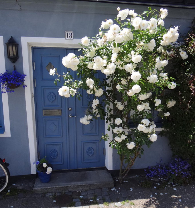 ystad_01-681x728.jpg
