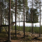 Tree Hotel, Harads, Lapland: Swedish architecture at the 2016 Nordic Pavilion in Venice