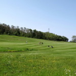 The Mölle golf course in Skåne
